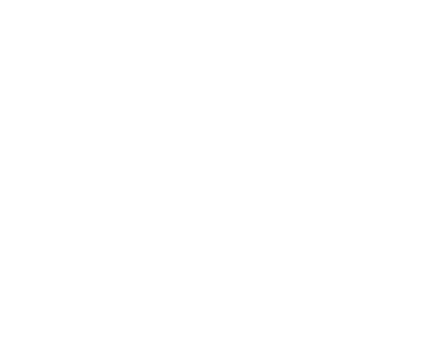 Partner 4